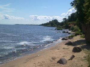 een strand met rotsen en het water en bomen bij Anna Bed & Breakfast in Kallaste