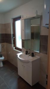 uma casa de banho com um lavatório, um espelho e um WC. em hostel Stalno Sretan em Labin