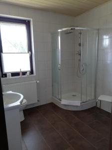 a bathroom with a shower and a toilet and a sink at Ferienhaus Edeltraud in Dargen