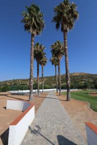 a walkway with palm trees in a park at Casa do Feitor - Monte da Graça in Elvas