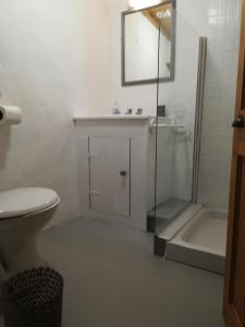 a bathroom with a toilet and a sink and a shower at Druid cottage in Glendree