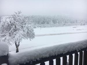 un patio cubierto de nieve con un árbol y un campo en Alpine Trail Ridge Inn en Estes Park