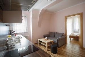 Kuchyňa alebo kuchynka v ubytovaní Diana Apartments Karlovy Vary