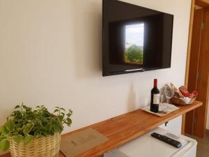ピレノポリスにあるPousada Vila Santa Mariaの壁にテレビが映え、植物とワイン1本