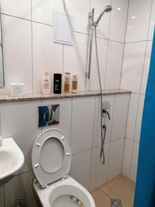 ein Bad mit einer Dusche und einem WC in der Unterkunft Hotel Lago Peshtera in Peschtera