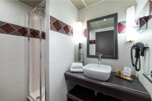 里昂的住宿－亞歷山德拉酒店，一间带水槽和淋浴的浴室