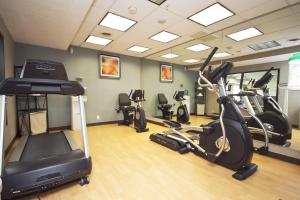 Fitness centrum a/nebo fitness zařízení v ubytování Holiday Inn Express Adrian by IHG