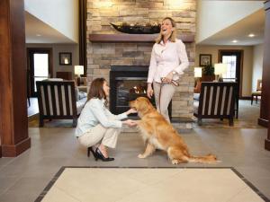 Domácí mazlíčci ubytovaní s hosty v ubytování Staybridge Suites - Cedar Park - Austin N by IHG