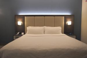 Katil atau katil-katil dalam bilik di Holiday Inn Express Anderson I-85 - Exit 27- Highway 81 by IHG