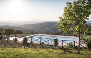 ein Schwimmbad auf einem Hügel mit einem Baum in der Unterkunft Agriturismo Dolce Sentire in Assisi
