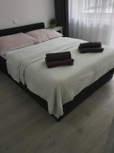 Posteľ alebo postele v izbe v ubytovaní Apartamenty Bliżej Morza Kasprowicza