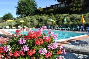 a swimming pool with pink flowers and umbrellas at Universal Harmony Agriturismo in Dicomano