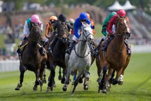 a group of horses racing on a track at Holiday Inn Express, Chester Racecourse, an IHG Hotel in Chester
