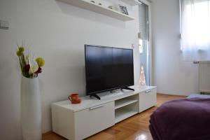 TV a/nebo společenská místnost v ubytování Apartman BoNi