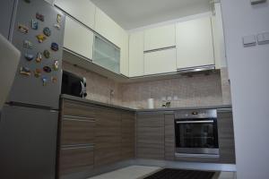Kuchyň nebo kuchyňský kout v ubytování Apartman BoNi + 15 fotografií