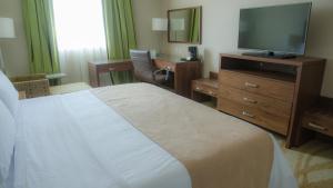 TV a/nebo společenská místnost v ubytování Holiday Inn Express and Suites Celaya by IHG