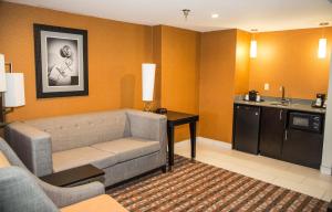 Area tempat duduk di Holiday Inn Express & Suites Nashville Southeast - Antioch, an IHG Hotel