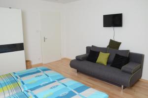 TV a/nebo společenská místnost v ubytování Guesthouse Casa Esperanza Basel