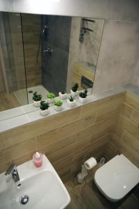 uma casa de banho com um lavatório e um espelho com vasos de plantas em Niedaleko od Centrum ale Z dala od tłumów em Lublin