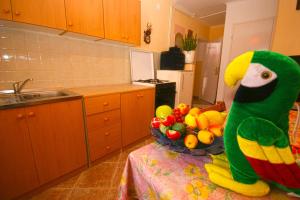 Kuchyň nebo kuchyňský kout v ubytování Guest House Robert i Mirna