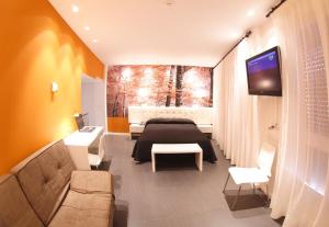 聖比森特德拉松謝拉的住宿－松斯厄拉別墅酒店，一间卧室配有一张床、一台电视和一张沙发
