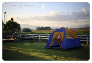 ein blaues und orangefarbenes Zelt auf einem Feld in der Unterkunft Hotsia Homestay in Ban Pak Ing