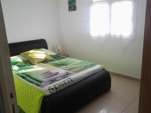 ein Schlafzimmer mit einem Bett mit einer grünen Decke darauf in der Unterkunft Villa Le Balisier in Le Lamentin