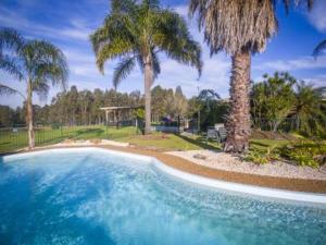 a large swimming pool with palm trees in a yard at Woolshed Hill Estate in Pokolbin
