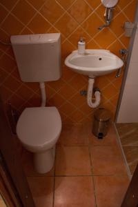 a bathroom with a toilet and a sink at Boki Apartmant in Subotica