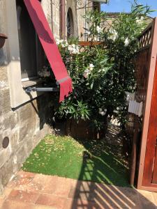 une maison avec une porte ouverte rouge et une pelouse dans l'établissement Agriturismo Specchio Del Lago, à Montefiascone