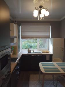 a kitchen with a sink and a window at Slovac House with a garden and fireplace in Chişinău