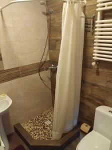 a bathroom with a shower with a shower curtain at Slovac House with a garden and fireplace in Chişinău
