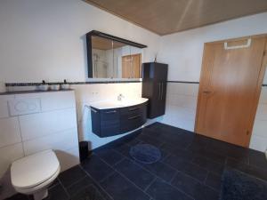 a bathroom with a sink and a toilet and a mirror at Bauernhaus am Limes in Altmannstein