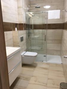 卡爾帕奇的住宿－Apartament Silence Triventi Agat，一间带卫生间和玻璃淋浴间的浴室