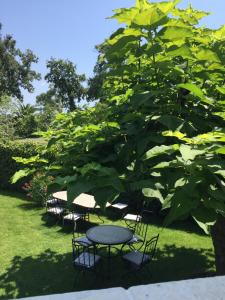 a group of tables and chairs under a tree at Villa Louise-Rose in Villeneuve-Loubet