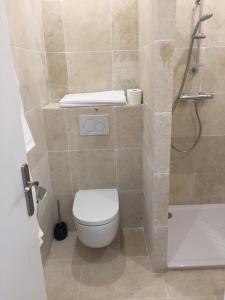 a small bathroom with a toilet and a shower at Villa Louise-Rose in Villeneuve-Loubet