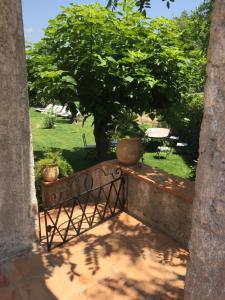 a view of a garden with a bench and a tree at Villa Louise-Rose in Villeneuve-Loubet