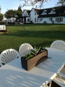 een tafel met drie stoelen en een potplant erop bij Little Tree Loft in Uitenhage