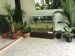 a large aquarium in a room with plants at HARRYS RESIENDENCE in Bangkok