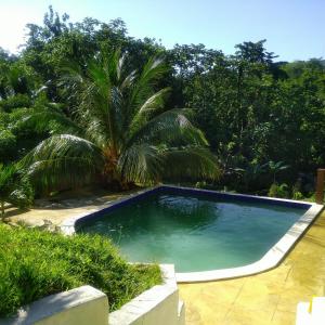 una piscina en un patio con una palmera en Tha Lagoon Spots CooL VyBz, en Port Antonio