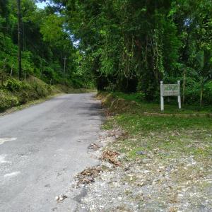 una señal al costado de una carretera en Tha Lagoon Spots CooL VyBz en Port Antonio