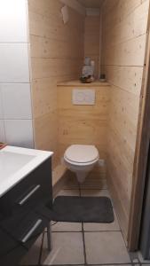 a small bathroom with a toilet and a sink at O DOUBS SEJOURS in Métabief +1 photo