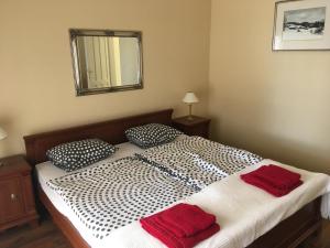 バラトンアカラッチャにあるKazinczy Villaのベッドルーム1室(枕2つ、鏡付)