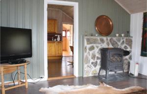 een woonkamer met een open haard en een televisie bij Awesome Home In Borgund With Kitchenette in Borgund