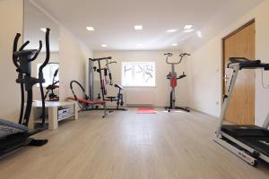 Fitness centrum a/nebo fitness zařízení v ubytování Villa IN