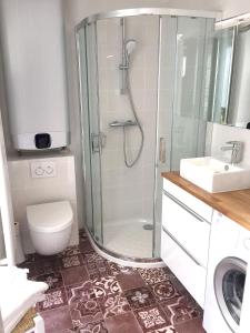 a bathroom with a shower and a toilet and a sink at Les gîtes du Clos Saint-Martin in Maule +43 photos