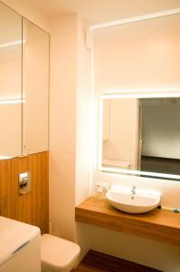 ein Badezimmer mit einem Waschbecken, einem WC und einem Spiegel in der Unterkunft Apartament Blu in Łódź
