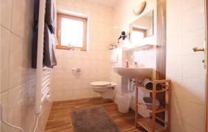 Stunning Apartment In Alpbach With Kitchen في ألباخ: حمام مع مرحاض ومغسلة