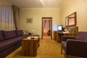TV a/nebo společenská místnost v ubytování Wellness hotel Spark