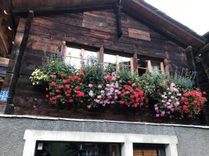 una scatola di fiori sul lato di un edificio di Schirle a Zermatt